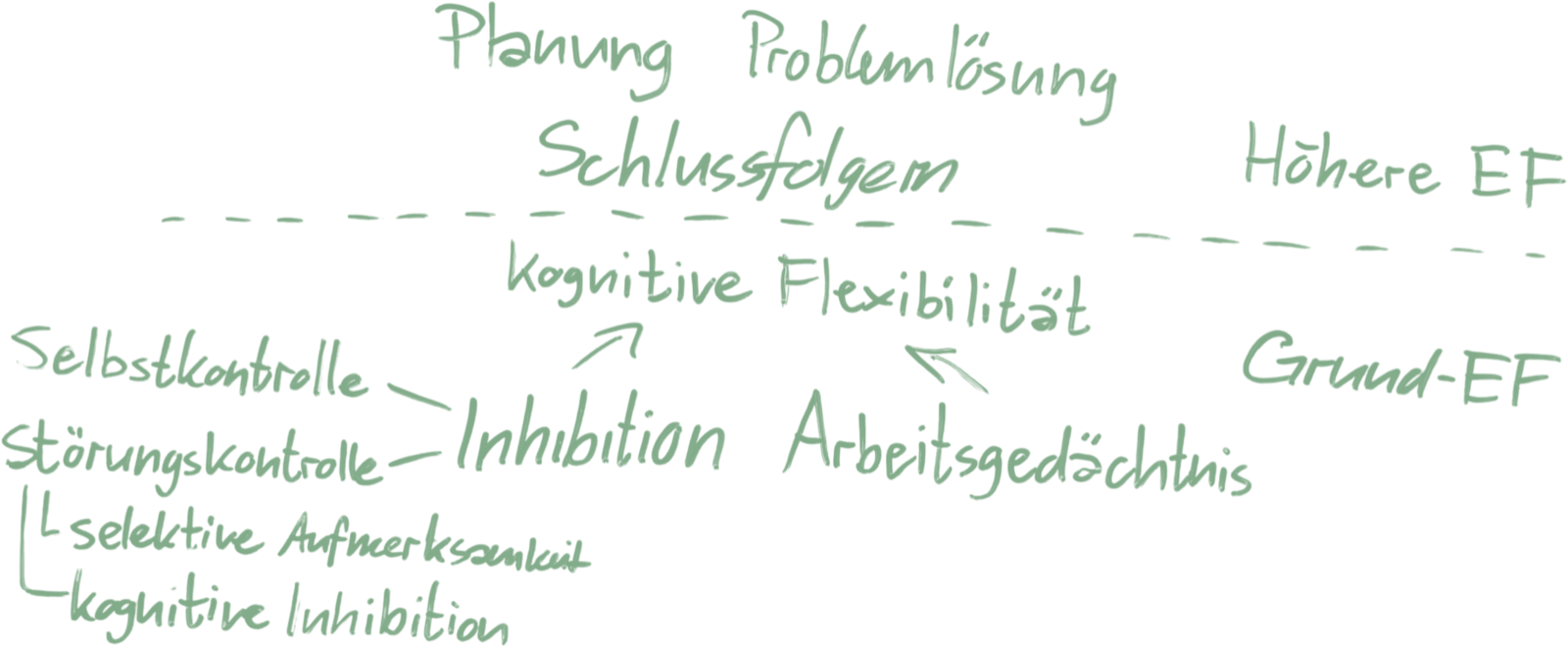 exekutive funktionen
